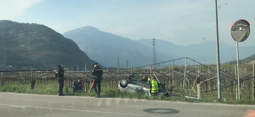 Perde il controllo dell'auto e si ribalta tra i vigneti: in ospedale un 25enne, momenti di paura in Vallagarina